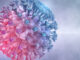 image of Coronavirus covid-19 Omicron variant