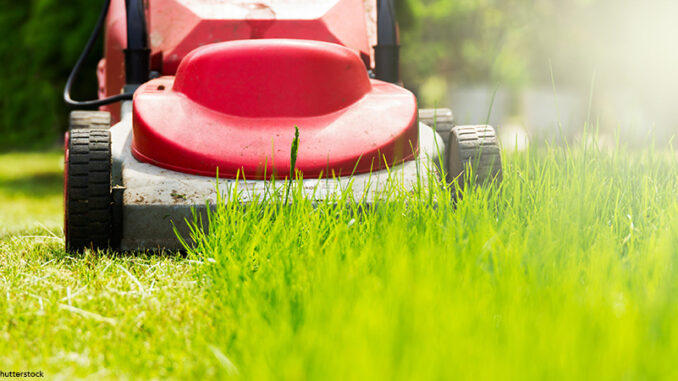 050922_03P_FS sunny lawn mowing in the garden