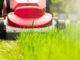 sunny lawn mowing in the garden
