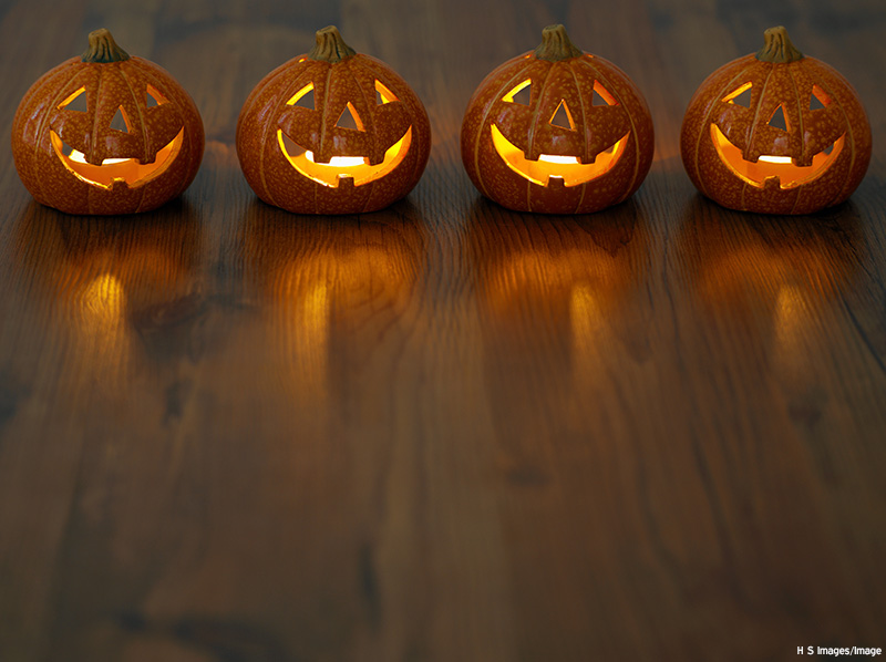 row of pumpkin ornaments