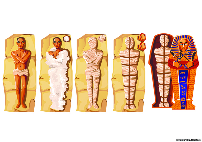 ancient egypt mummification process step by step