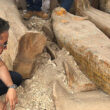 New Discoveries Help Explain Egyptian Mummification