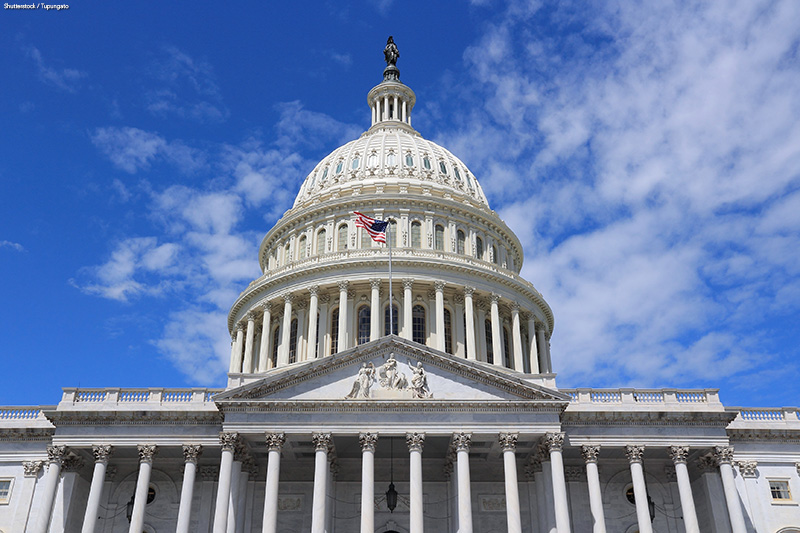 US National Capitol in Washington, DC.