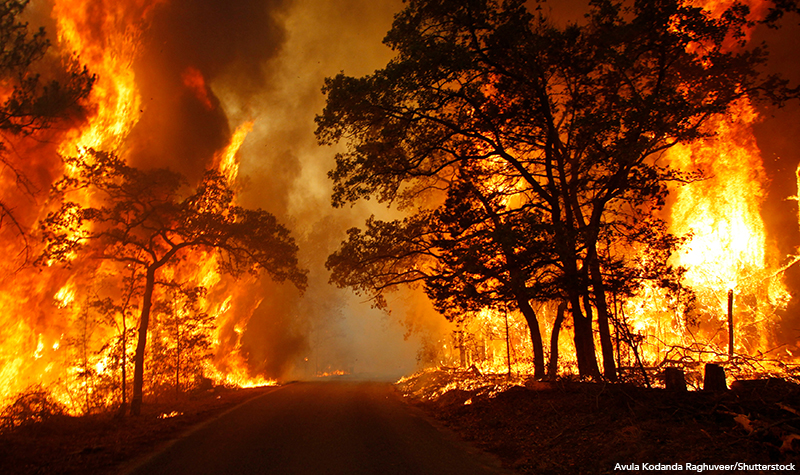 A wildfire near Bastrop State Park in Texas in 2011.