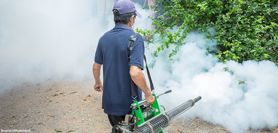 Fogging, mosquito eradication