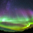 Widespread Northern Lights Delight Many