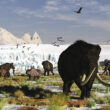 Ancient Woolly Rhino Fossil Discovered