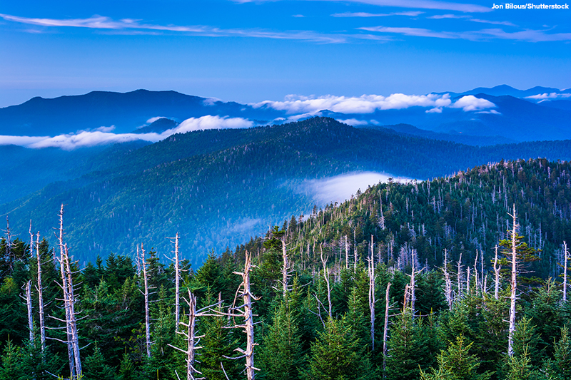 View of fog in the Smokies from Kuwohi Observation Tower, in Great Smoky Mountains National Park