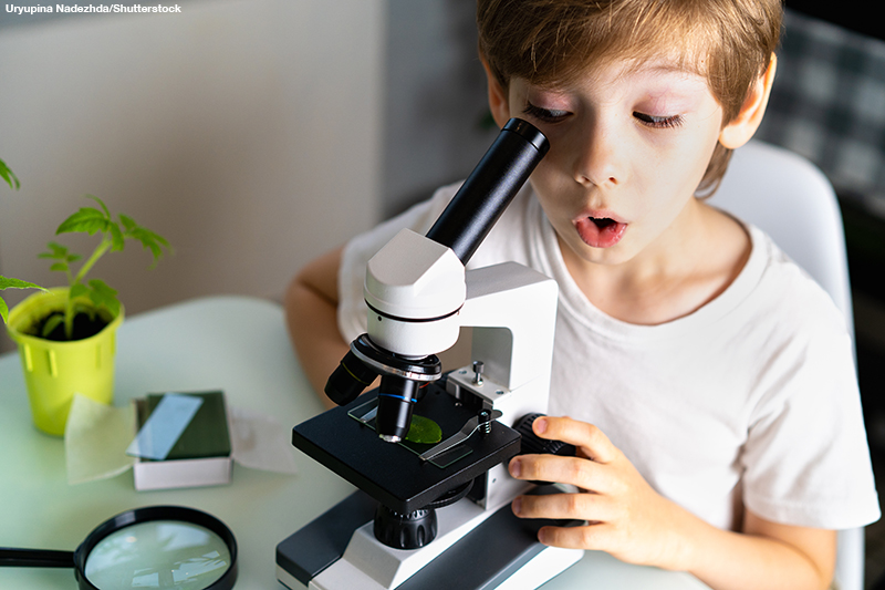 Little boy studies plants under a microscope