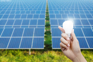 hand holding up a lit light bulb in front of an array of solar panels