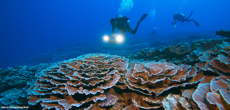 Women’s History Month: Dr. Sylvia Earle