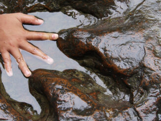 Children hand on real dinosaur footprint,