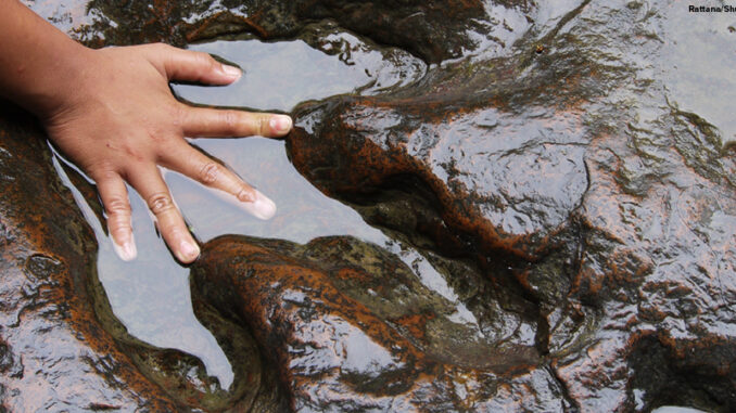 Children hand on real dinosaur footprint,