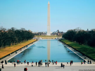 Washington Monument On Sunny Day
