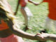 blurred image of children dancing in a circle